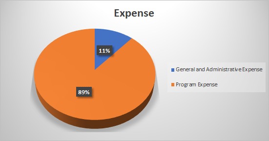 Expense_of_2020